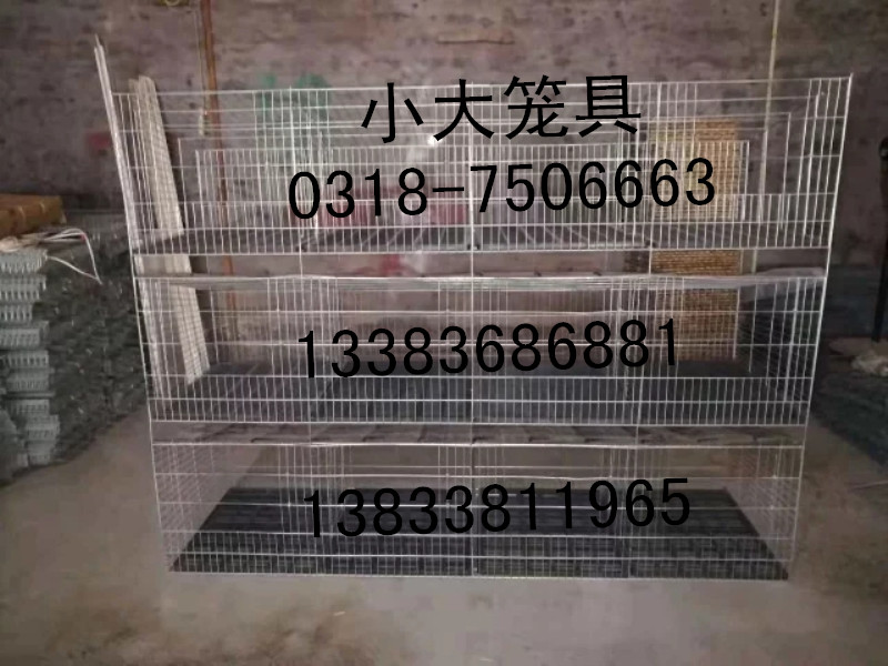 出售鸡笼鸭笼鸽子笼兔子笼鹌鹑笼鹧鸪笼运输笼宠物笼猫笼狗笼鸟笼